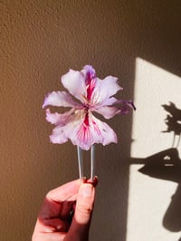 Image 1 of 💜Double Bauhinia Hairpin💜