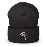 Image 1 of TRT Team Beanie 