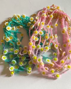 Image of CAVIGLIERA DAISY