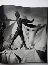 Image 4 of Steven Arnold - Exotic Tableaux