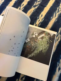 Image 13 of The eyes, the ears- Rinko Kawauchi, 2005