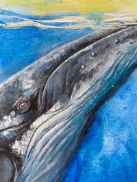 Image 3 of Swimming with Whales