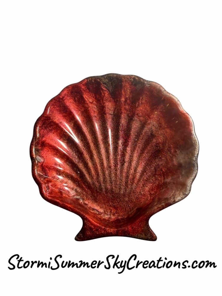 Image of White Clam shell for trinkets