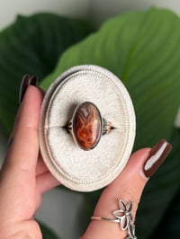 Image 1 of LAGUNA LACE AGATE RING R .925 SS SIZE 6