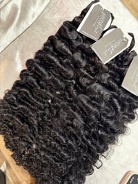 Image 1 of Raw Vietnamese Burmeese Curly 