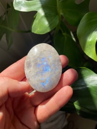 Image 1 of Moonstone Palm Crystal (12)
