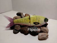 Image 3 of Zip Shad