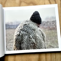 Image 3 of Tamas Dezso - Notes For An Epilogue 