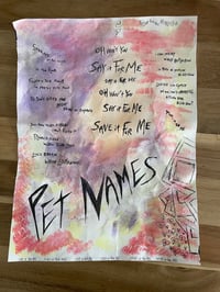 Pet Names LYRIC SHEET (1 of 1) signed 