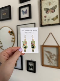 Image 2 of Spring Kitty