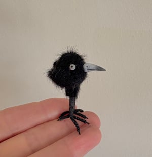 Image of Very Tiny Raven Baby #2