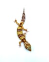 (Giant Line) Tangerine (Tremper) (2)