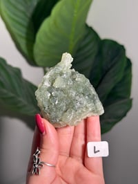 Image 12 of CHOOSE YOUR OWN BOWTIE PREHNITE -INDIA-
