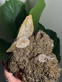 Image 2 of XXL SWEETWATER CALCITE WITH PYRITE -MISSOURI- PORCUPINE POCKET 2025 B