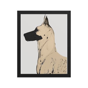 Image of GREAT DANE