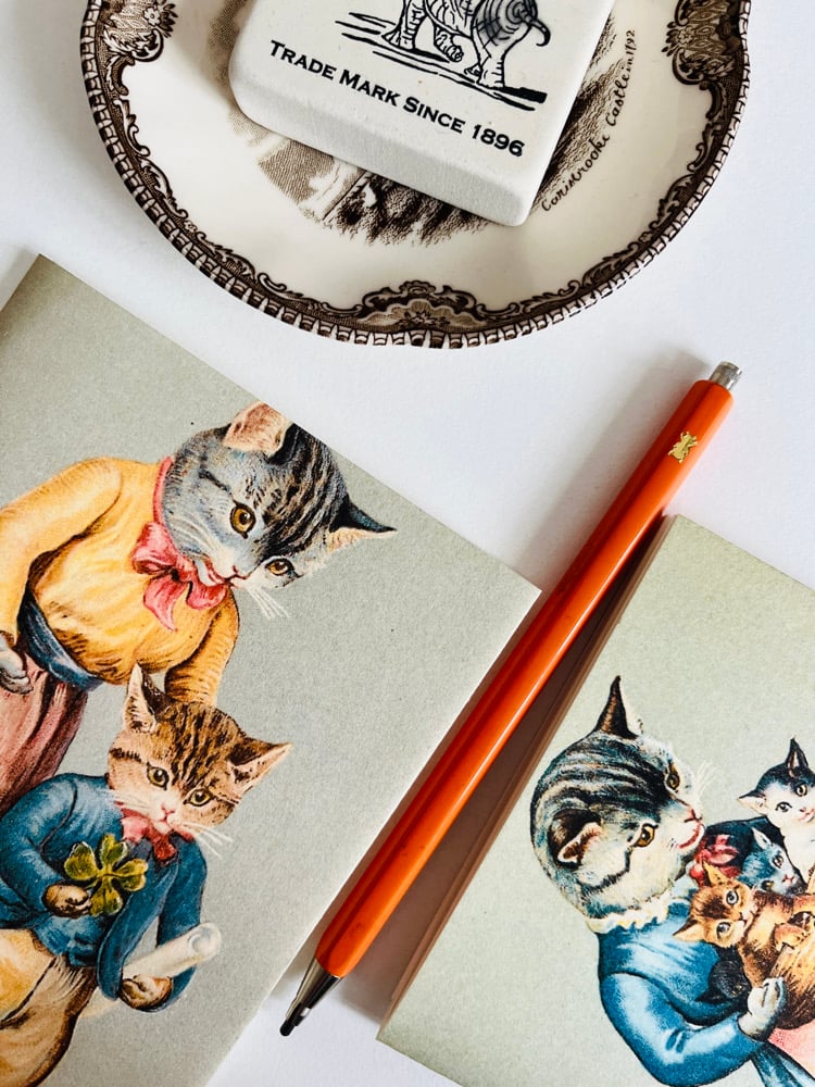 Image of CATS