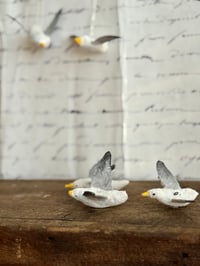 Image 3 of Spun cotton seagull ornaments
