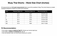 Image 3 of MUAY THAI VINOTINTO SHORTS S/S ‘26