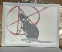 Image 3 of Anarchist 2020