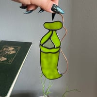 Image 3 of Nepenthes Pitcher Plants