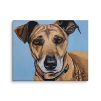 Image 3 of Blue Sky Terrier
