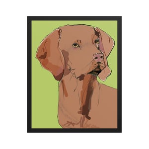 Image of VIZSLA FRAMED ART