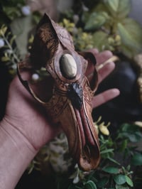 Image 5 of “Relic” coyote skull 