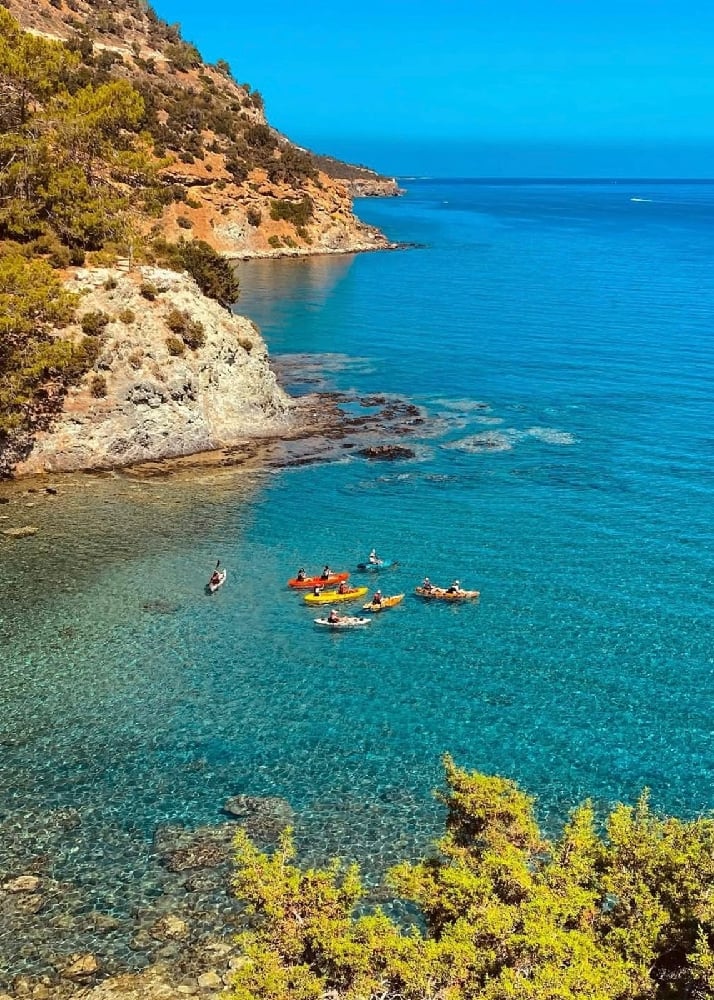 Image of Full Training 