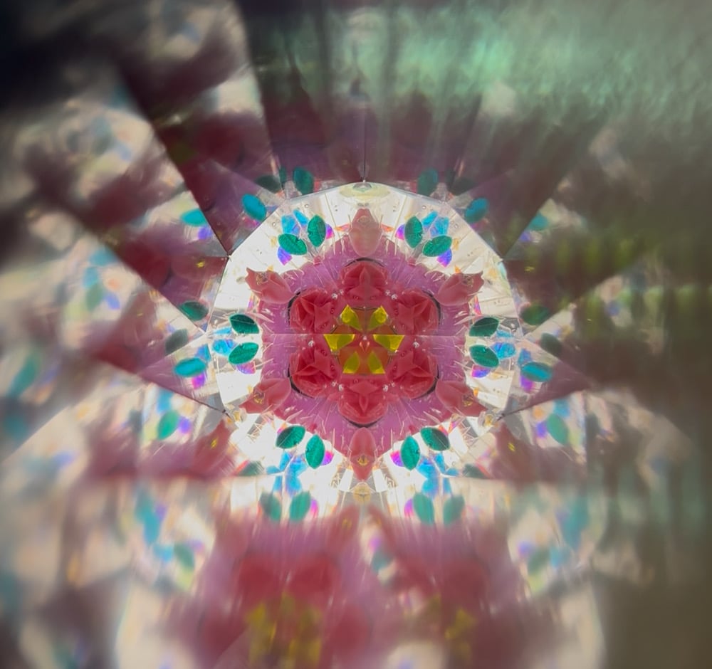 Image of Rose Garden Odyssey AuraScope