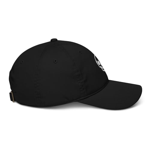 Image of Skull dad hat