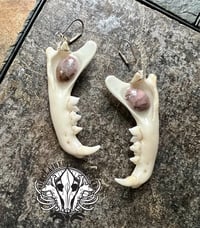 Image 2 of Bobcat Jawbone Statement Earrings/ Ear Weights