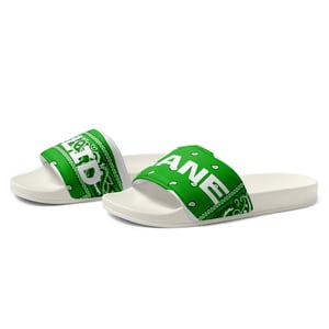 Image of Green Paisley Slides