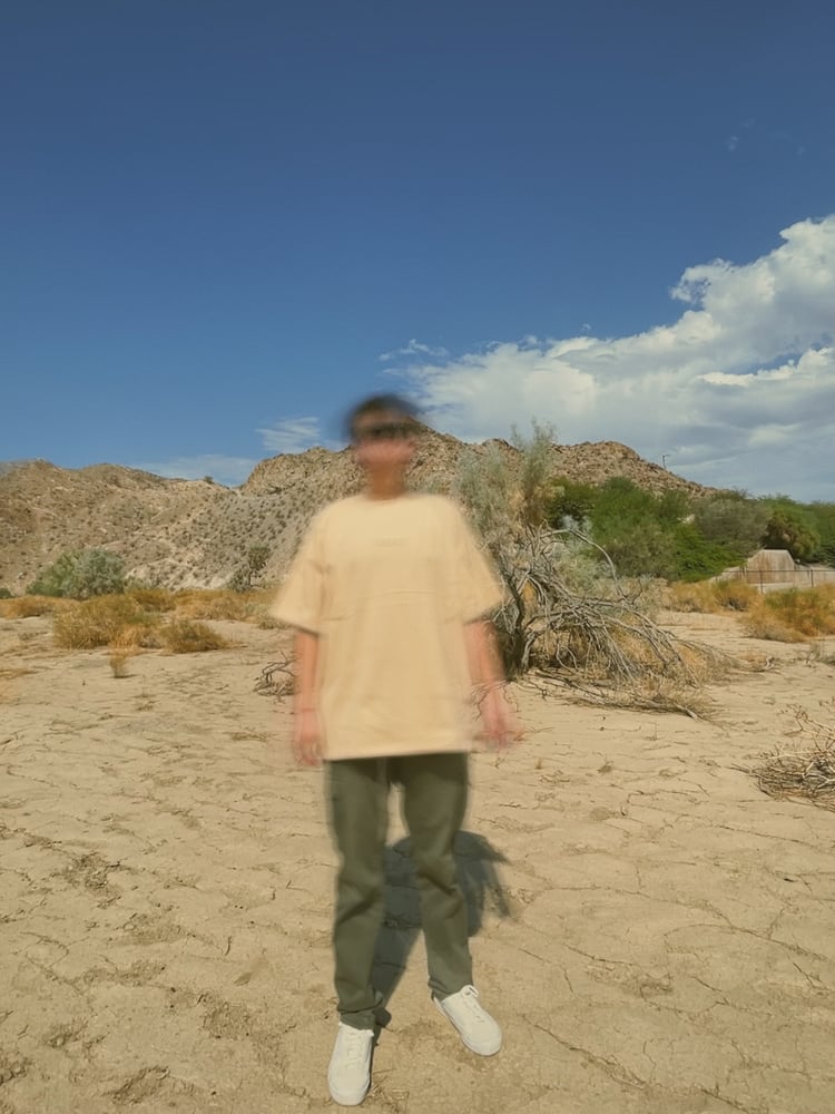 Image of GRUSONII TEE (TAN)