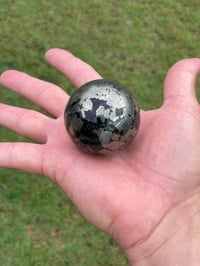 Image 15 of Pyrite In Magnetite Sphere #1607