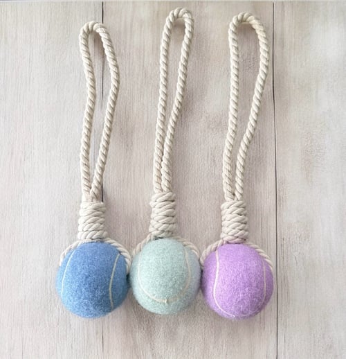 Image of Personalized Hazel Knotted Tennis Ball Chew Toy Rope Tug-Of-War Interactive Toy 