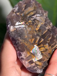Image 4 of NATURAL RAINBOW IRIDESCENT CUBIC FLUORITE -CHINA- A