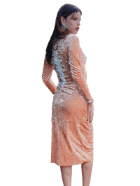 Image 1 of pearl spine dress