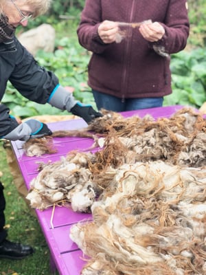 Image of ULD sorteringsdag 11. april 2026