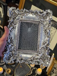 Image 1 of LARGE silver ornate framed preserved web