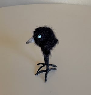 Image of Very Tiny Raven Baby #1