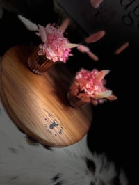 Image 5 of Little Bunny Sets