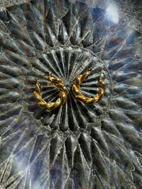 Image 2 of Tulip 