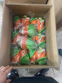 Image 3 of ON-HAND Lily Splatoon 17cm Sitting Plushie