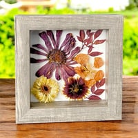 Image 3 of Zinnia, Calendula, Indian Blanket And Nasturtium Wildflowers In 6" X 6" Shadow Box (Item# 202212S)
