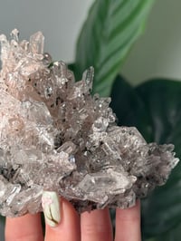Image 3 of PINK COLOMBIAN QUARTZ WITH CHLORITE A