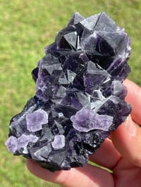 Image 15 of Purple Cubic Fluorite Specimen #1614