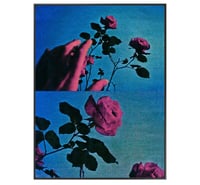 Image 3 of PICK ROSES AT NIGHT XI