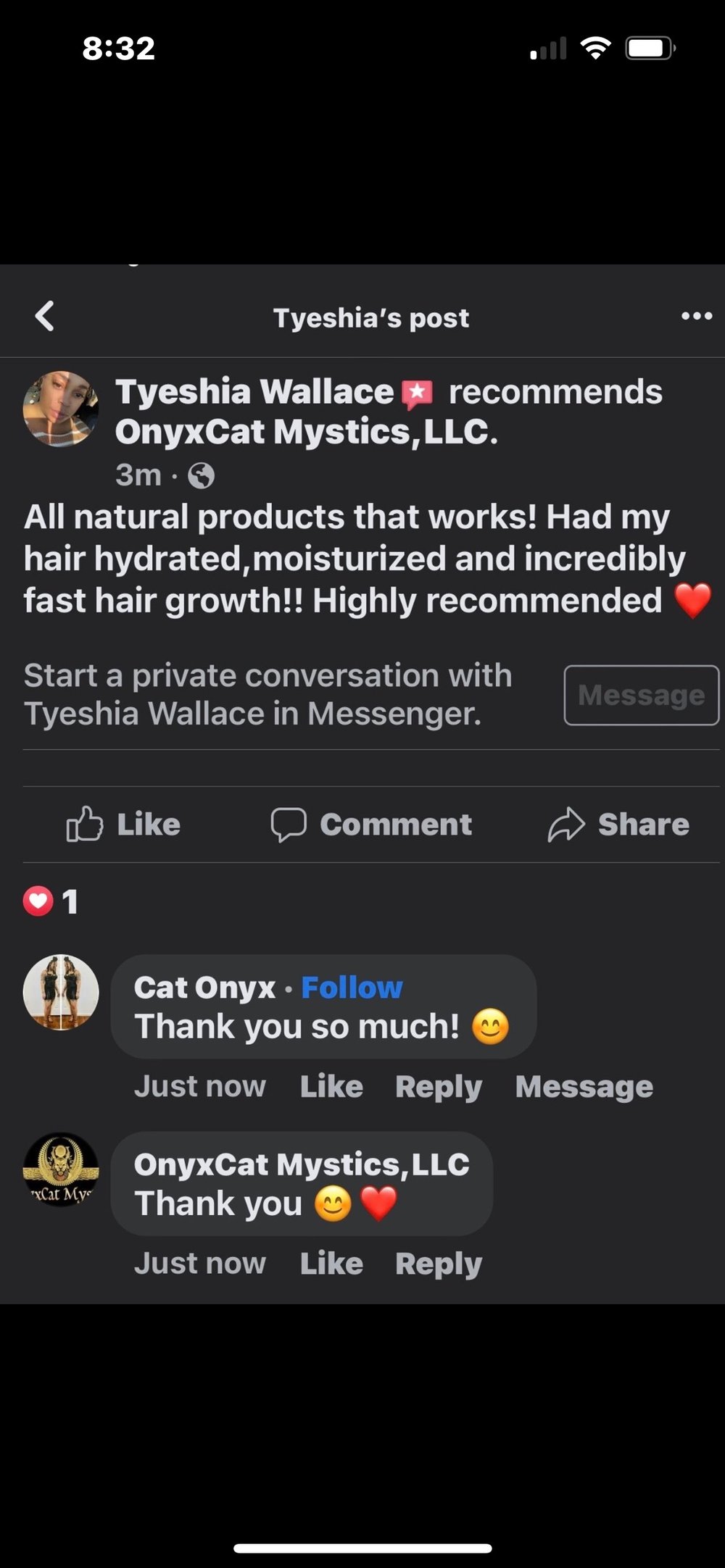 Onyx Cat Mystics Hydration Bundle