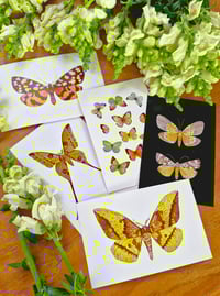 Image 1 of Yellow Moths & Butterflies Postcard Set