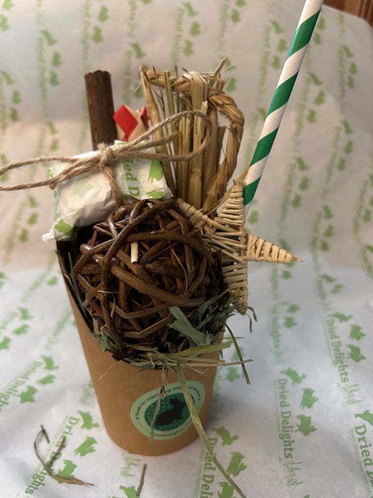 Image of Snack enrichment and forage Cup